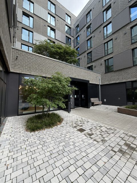 Fine Arts Campus Hamburg: Innenhof mit Eingangsbereich und Baum