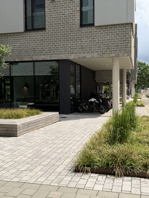 Fine Arts Campus Hamburg: verglastes Sockelgeschoss mit Pflanzbeeten
